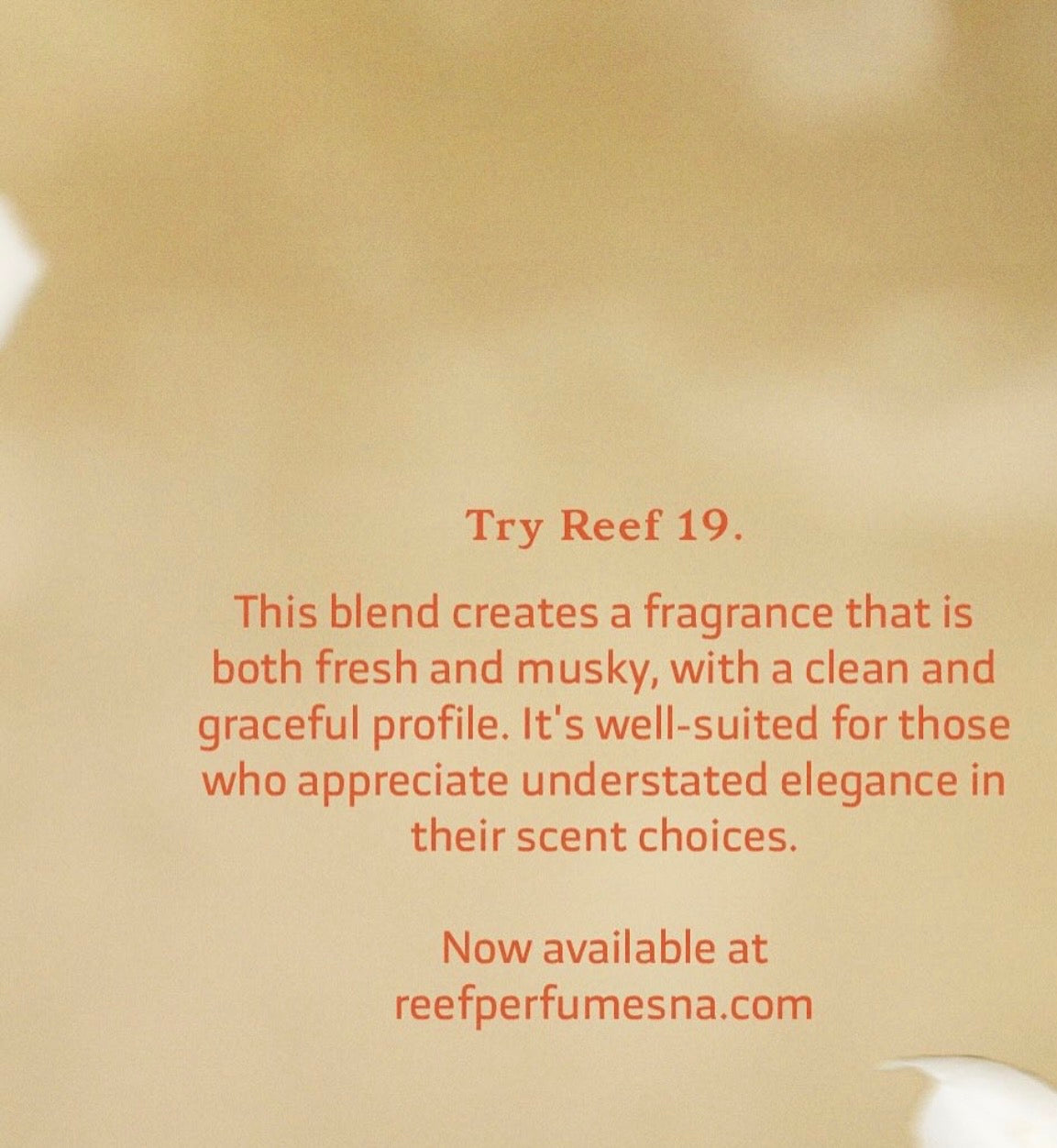 REEF 19 – Eau de Parfum