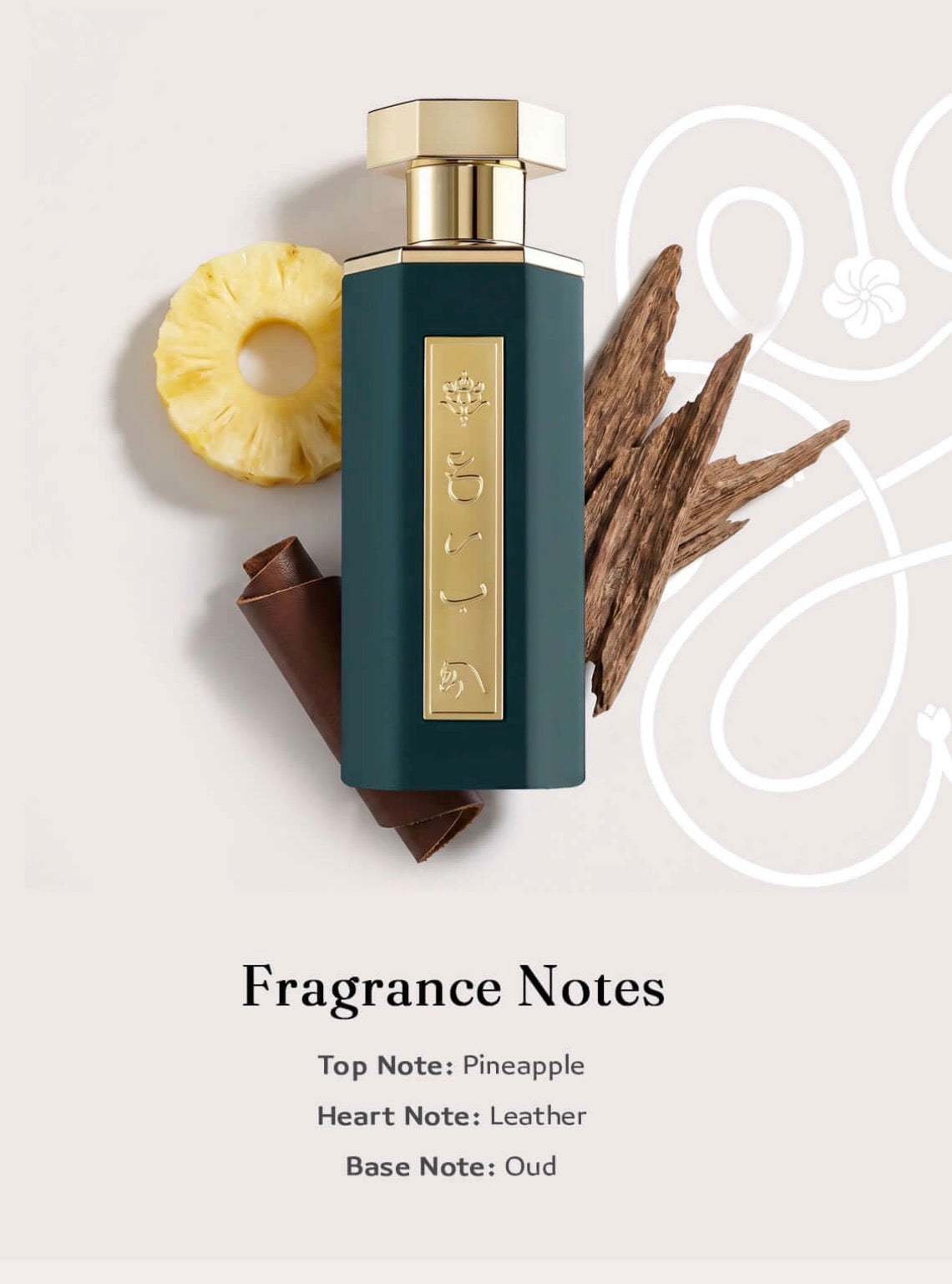 REEF Pride Bundle – Luxury Perfume Collection