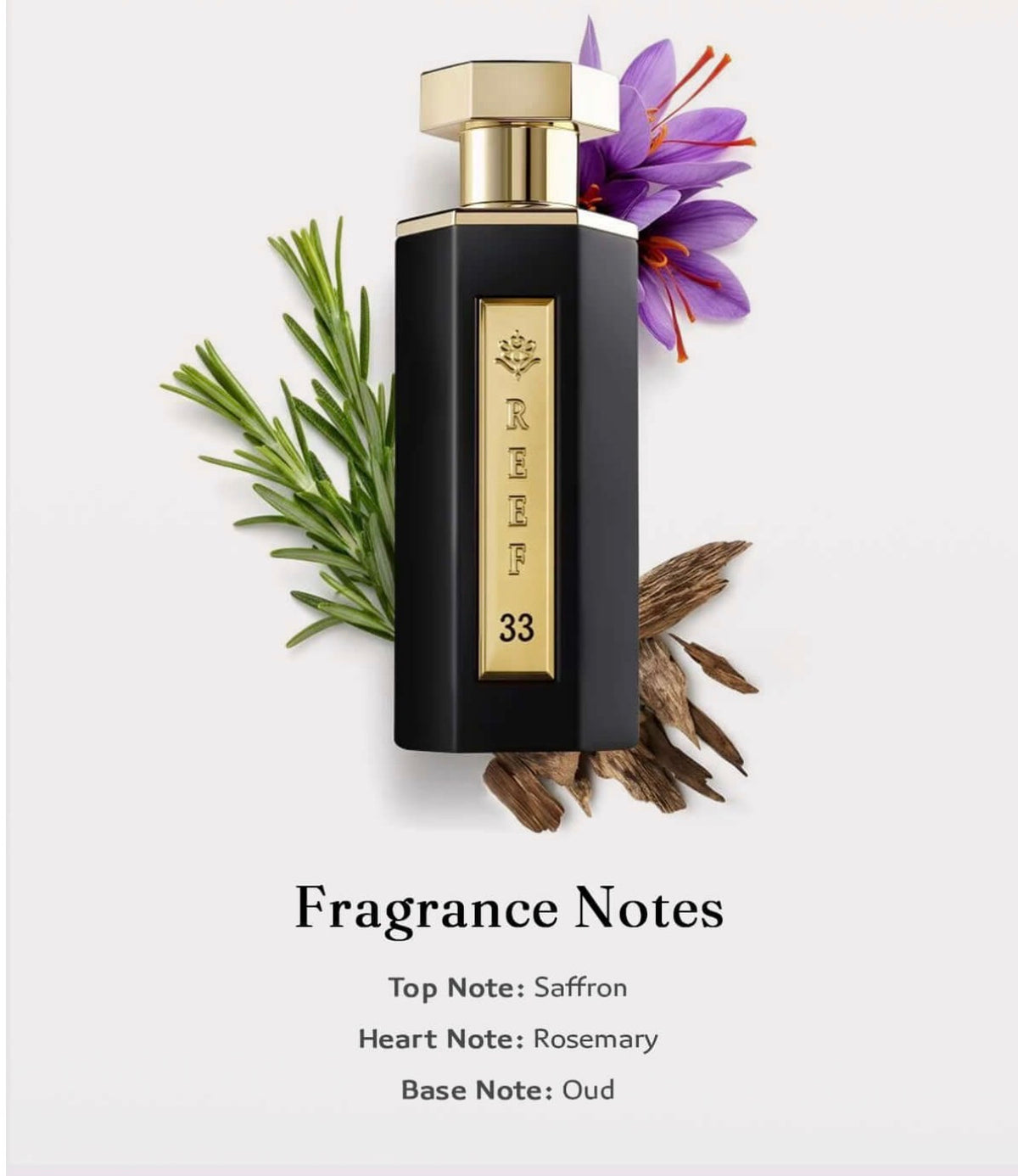 REEF Pride Bundle – Luxury Perfume Collection