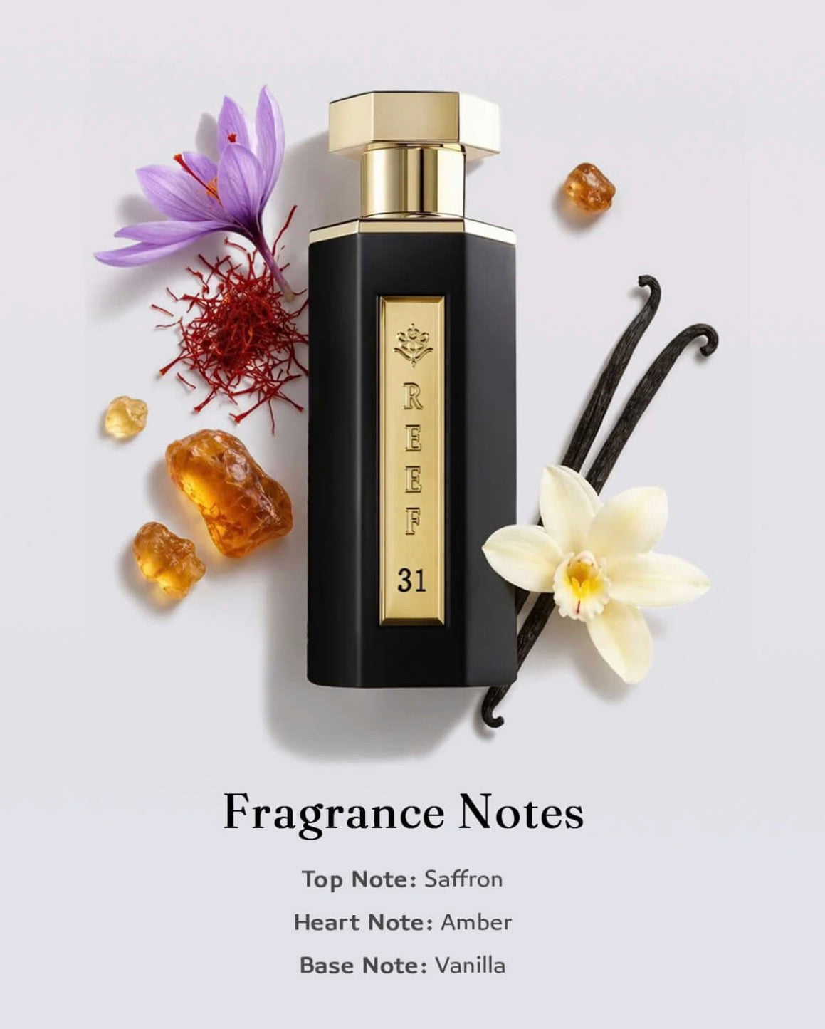 REEF Pride Bundle – Luxury Perfume Collection