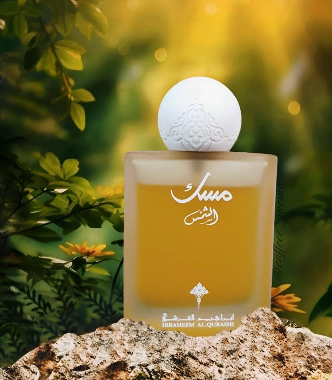 Sunshine Musk – Ibraheem Al.Qurashi ☀️✨